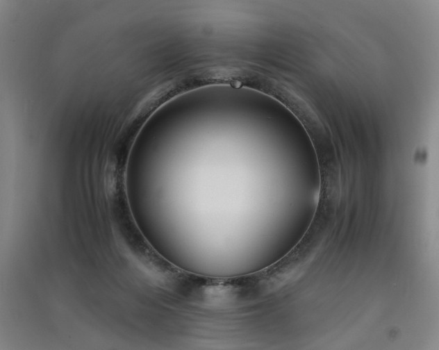 X0000091550216200708171312