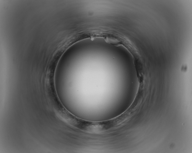 X0000091550217200708171312