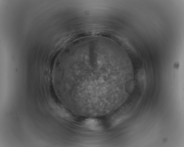 X0000091550218200708171312