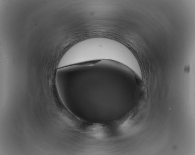 X0000091550219200708171312
