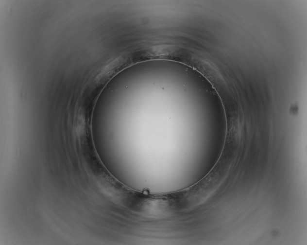 X0000091550220200708171311