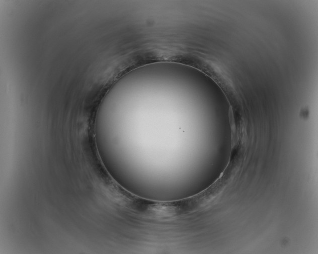 X0000091550221200708171311