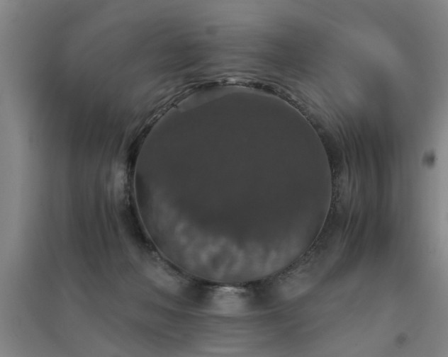 X0000091550222200708171311