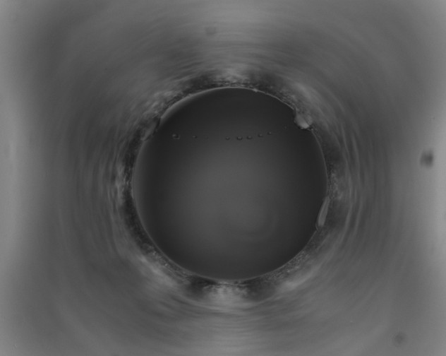 X0000091550223200708171311
