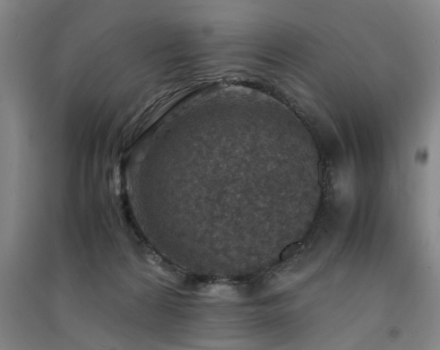 X0000091550224200708171311