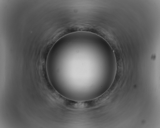 X0000091550225200708171311