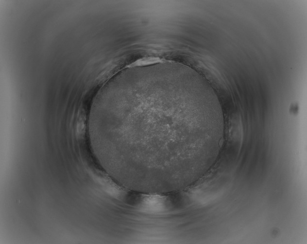 X0000091550226200708171311