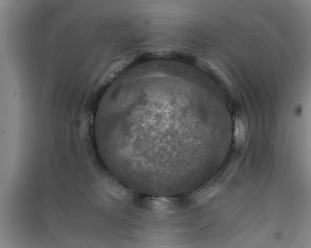 X0000091550229200708171311