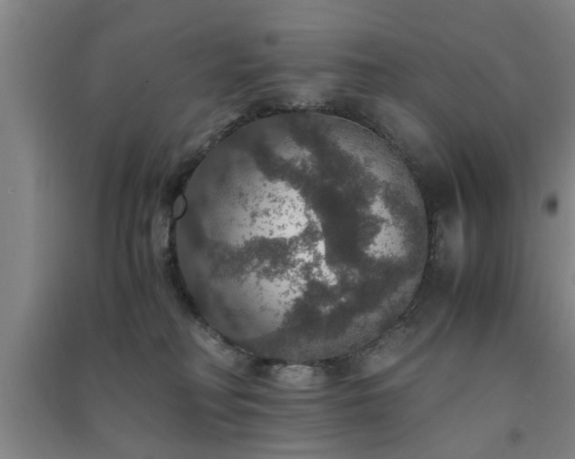 X0000091550230200708171311