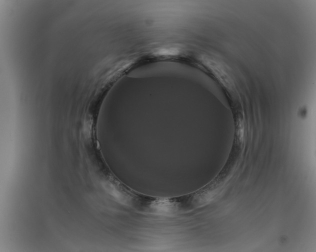 X0000091550231200708171311
