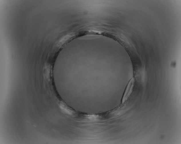 X0000091550233200708171311