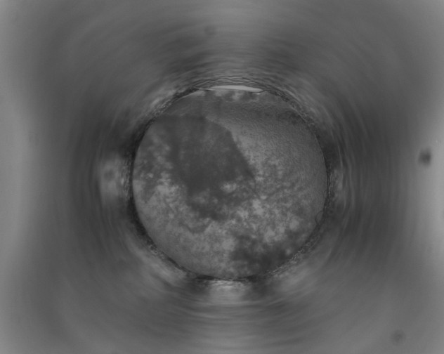 X0000091550234200708171311