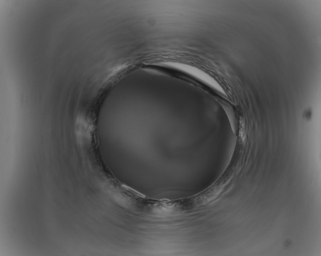 X0000091550235200708171311