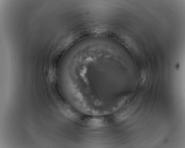 X0000091550236200708171311