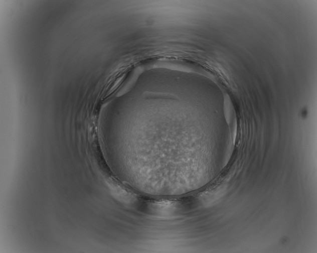 X0000091550237200708171311