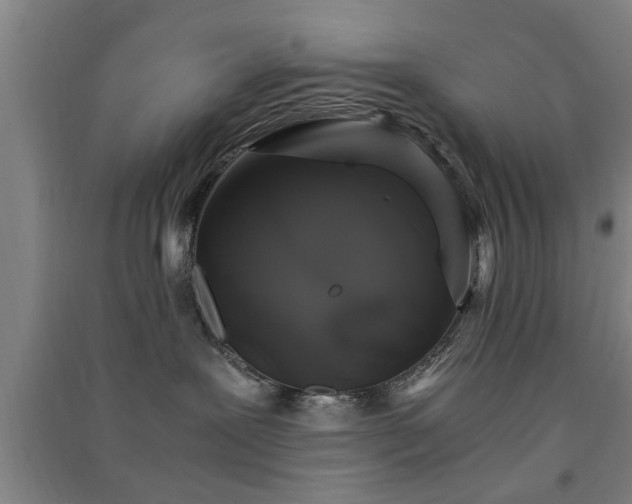 X0000091550239200708171311