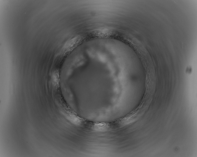 X0000091550240200708171311