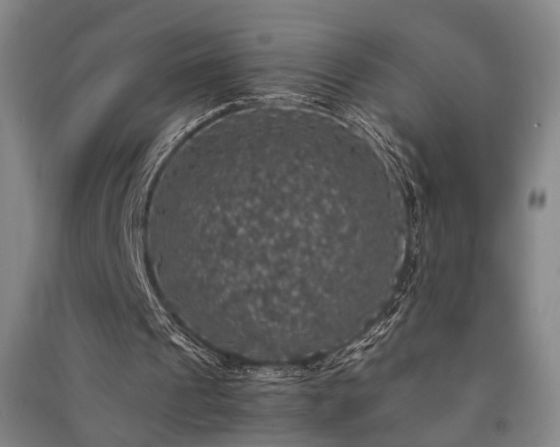 X0000091550241200708171311