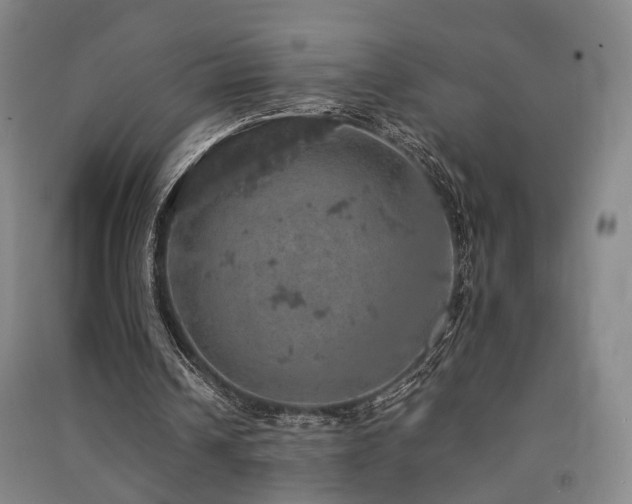 X0000091550242200708171311