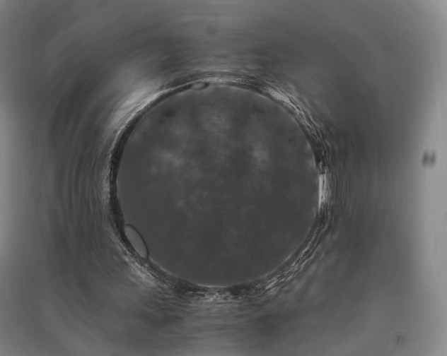 X0000091550243200708171311