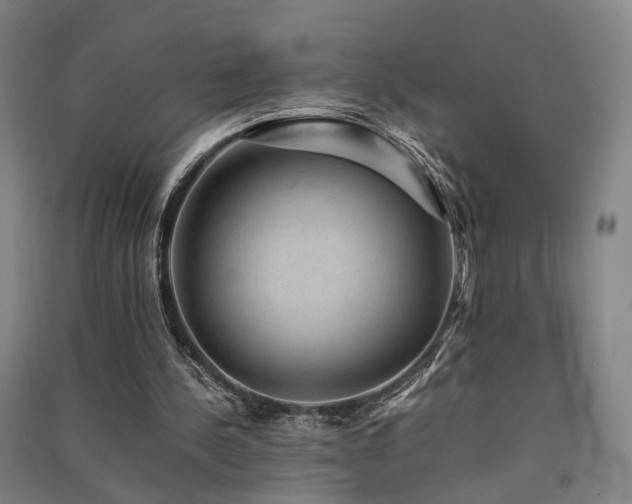 X0000091550244200708171311