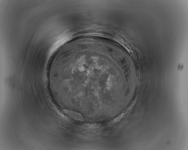 X0000091550245200708171311