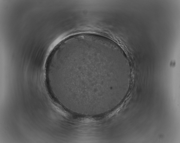 X0000091550246200708171311