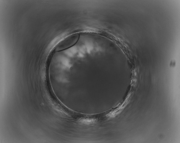 X0000091550247200708171311