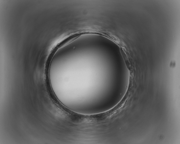 X0000091550248200708171311