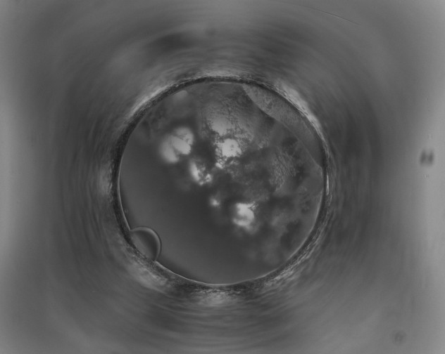X0000091550249200708171311