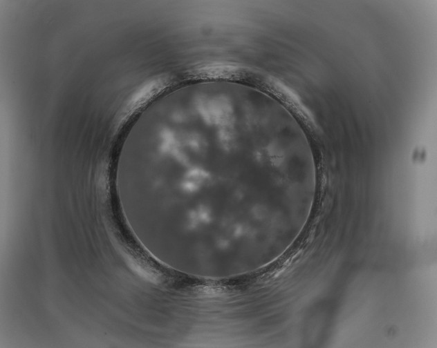 X0000091550250200708171311