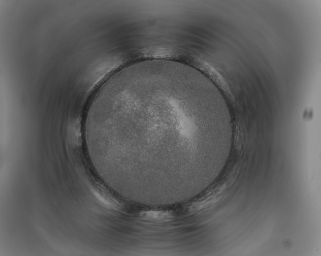 X0000091550251200708171311