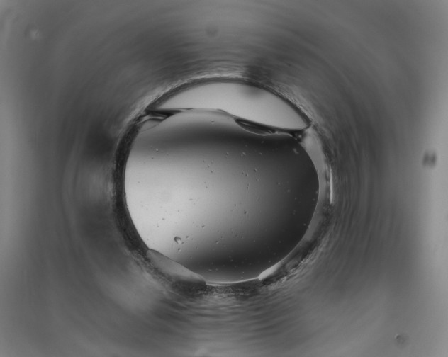 X0000091550252200708171311