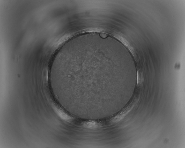X0000091550253200708171311