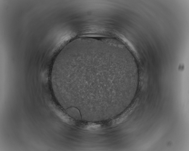 X0000091550257200708171311