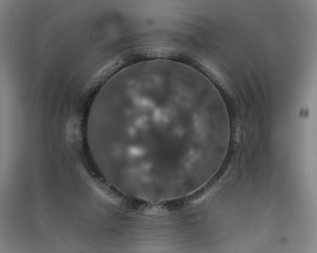 X0000091550258200708171311