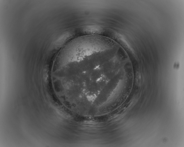 X0000091550259200708171311