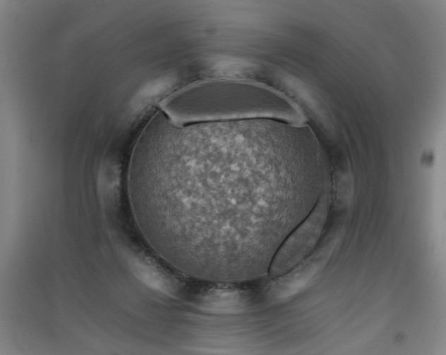 X0000091550260200708171311