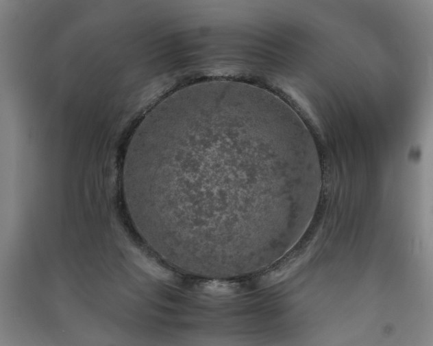 X0000091550261200708171311