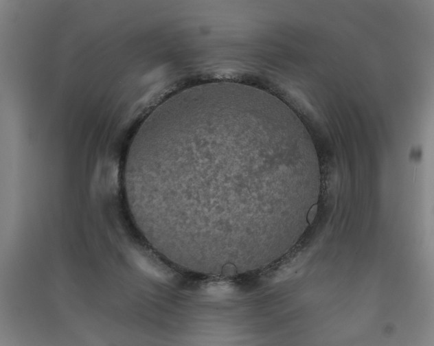X0000091550262200708171311