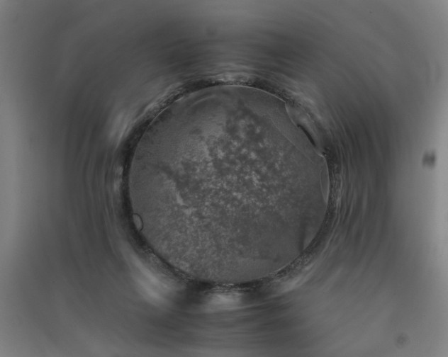 X0000091550263200708171311