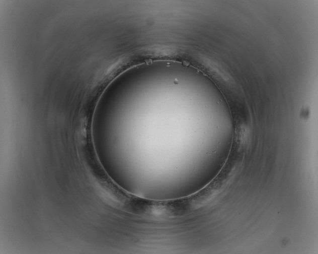 X0000091550264200708171311