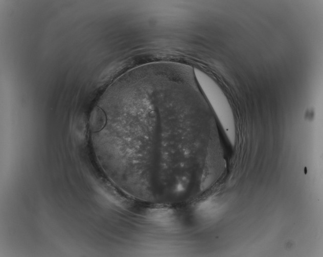 X0000091550266200708171311