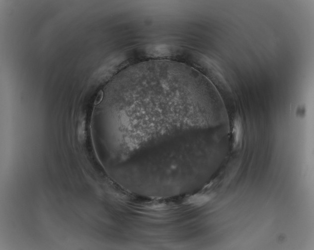 X0000091550267200708171311