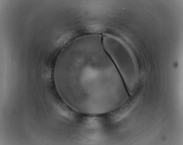 X0000091550268200708171311