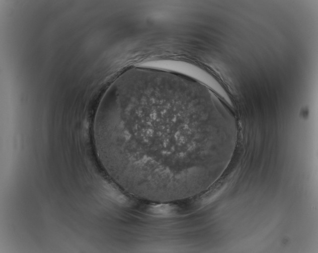X0000091550269200708171311