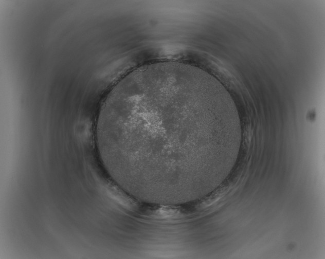 X0000091550270200708171311
