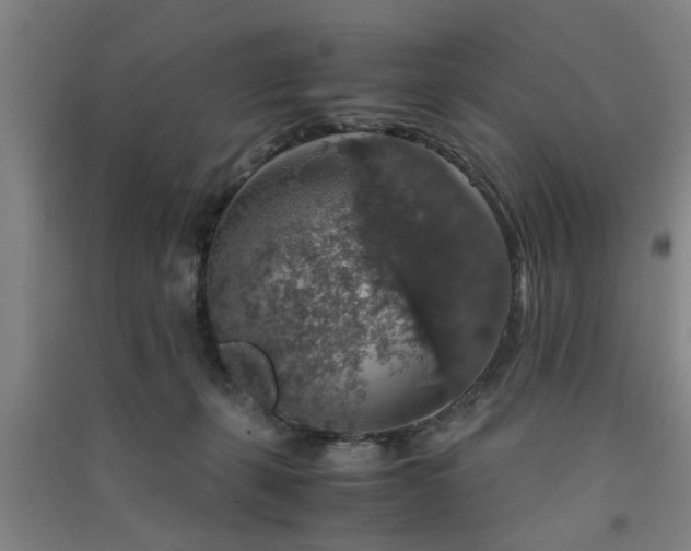 X0000091550271200708171311