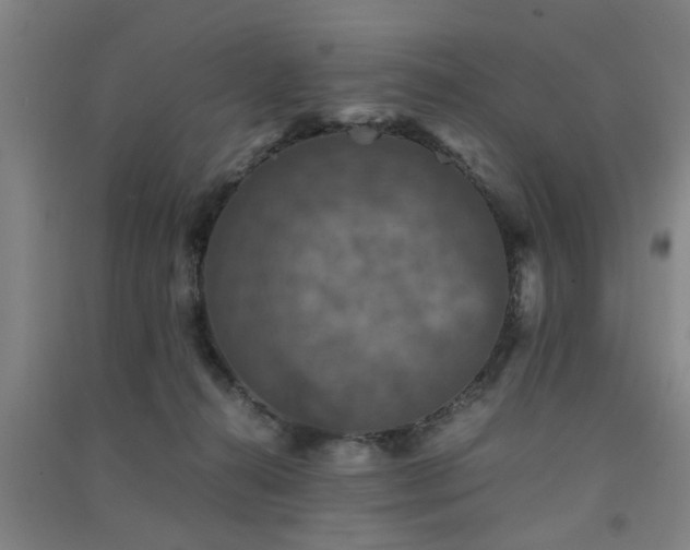 X0000091550272200708171311