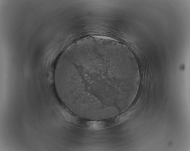X0000091550273200708171311